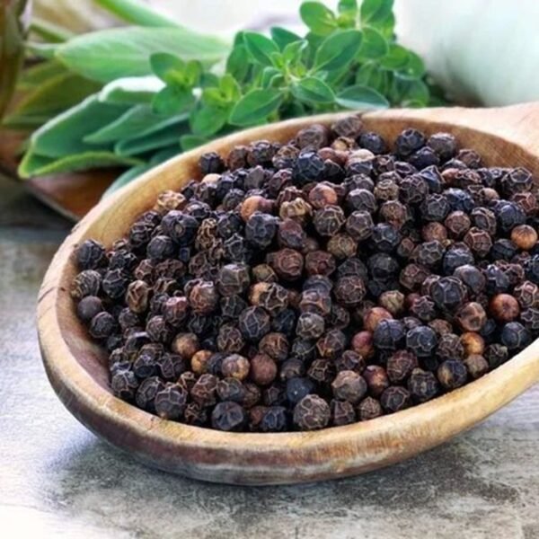 Black Pepper
