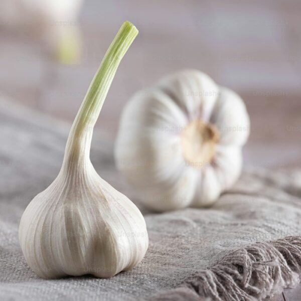 Garlic