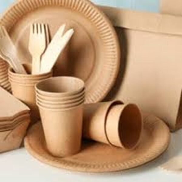 Paper Glass, Plate, Spoon & More